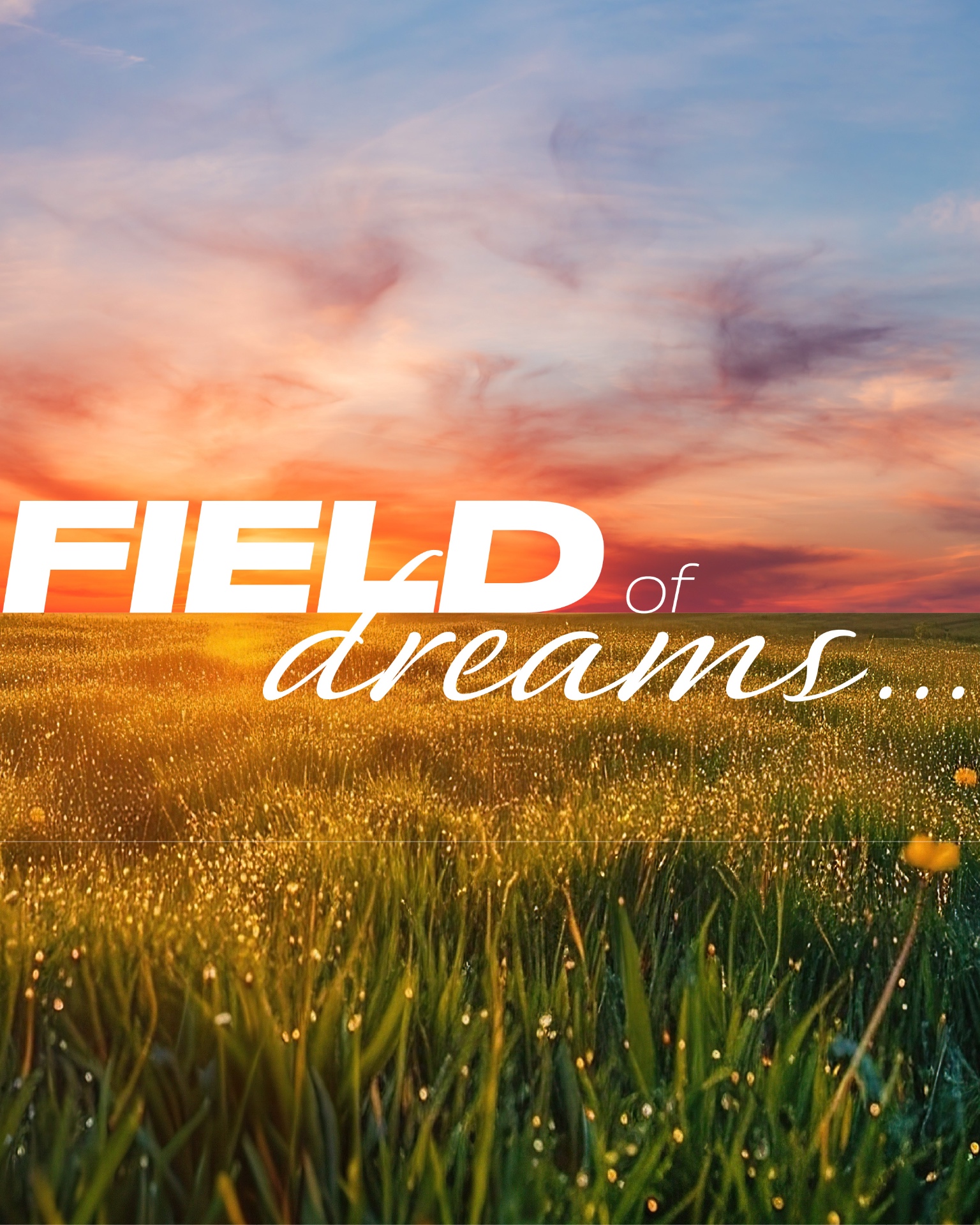 Field of Dreams project